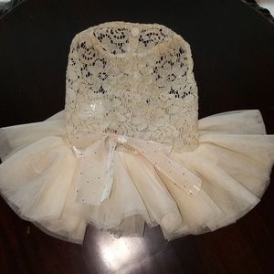 New Ivory Medium Pet Dress